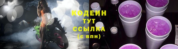 прущие грибы Алексин