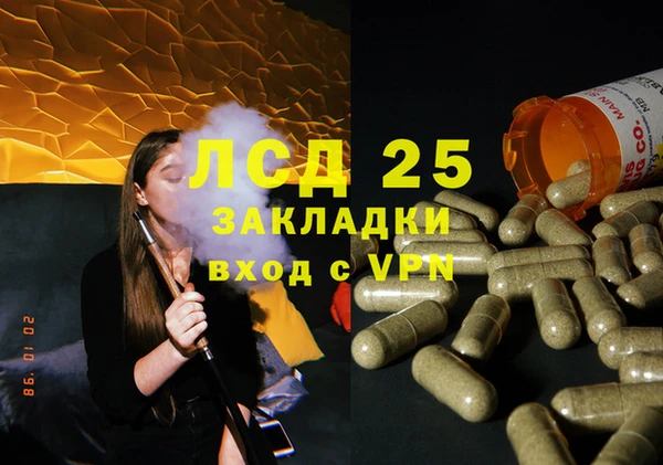 прущие грибы Алексин