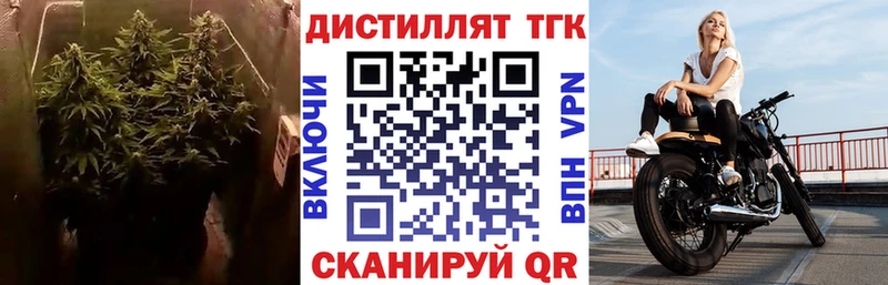закладка Котово ТГК гашишное масло